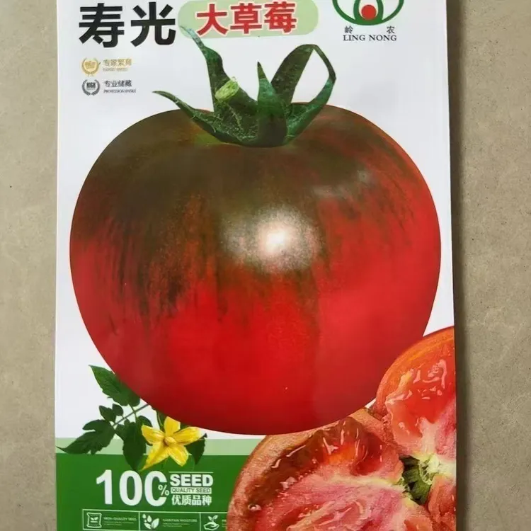 寿光大草莓柿子种子四季种植盆栽阳台