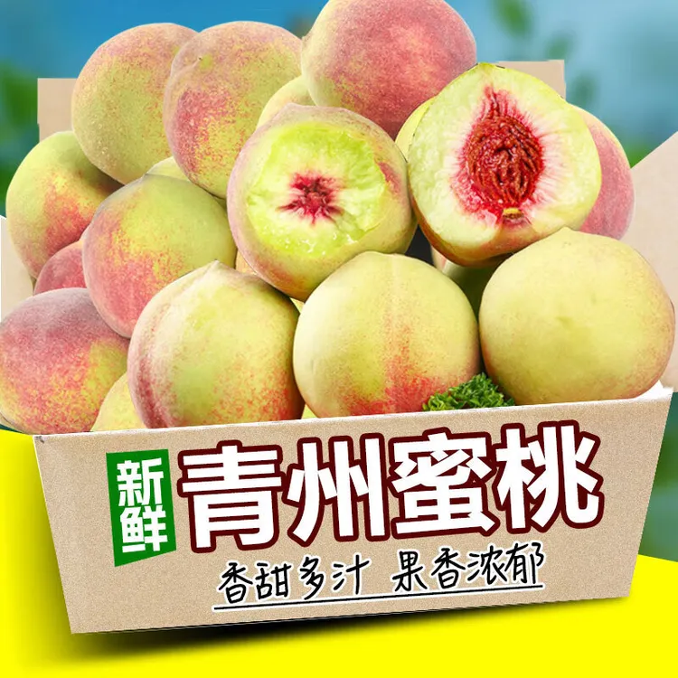 正宗青州蜜桃冬桃现摘新鲜脆甜蜜桃肉厚多汁坏果包赔果园直发