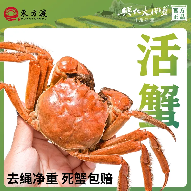 [鲜活]東方渡兴化大闸蟹全母蟹2~5两6~10只