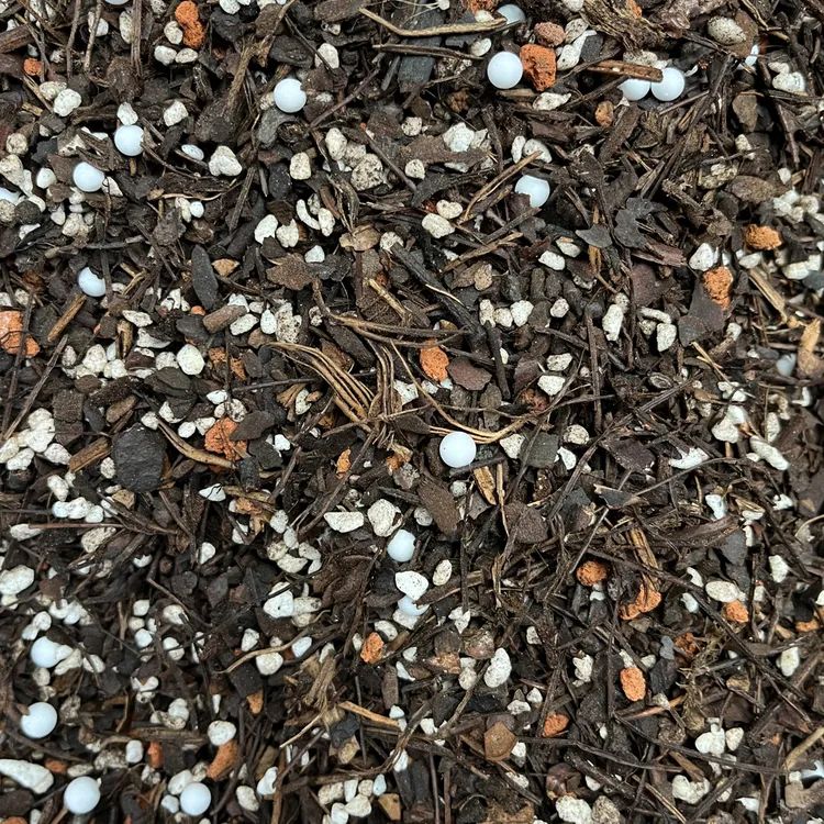 新版兰花细植料湿贴根促根来芽快兰花植料