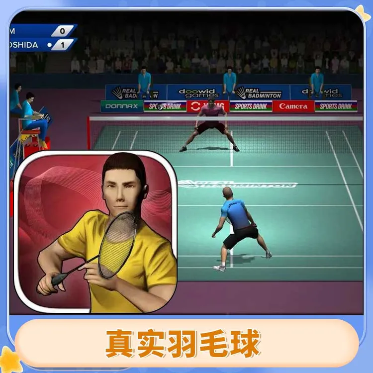 真实羽毛球 Real Badminton 游戏