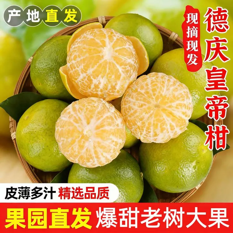 正宗皇帝柑新鲜采摘贡柑现摘蜜柑当季水果老树果清甜爽口YF