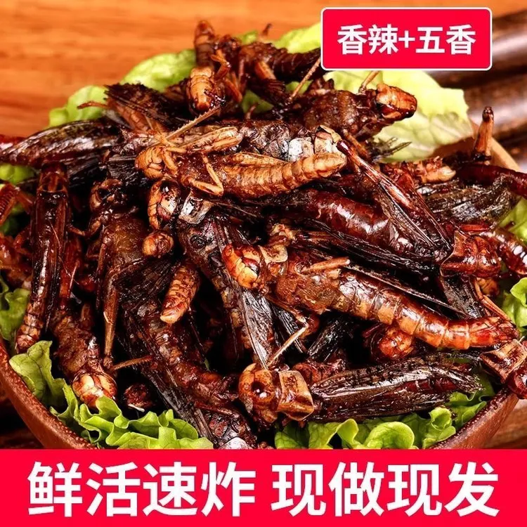 油炸蚂蚱香辣佤味麻辣新鲜鲜香美味丰富醇正特色小吃即食零食即食