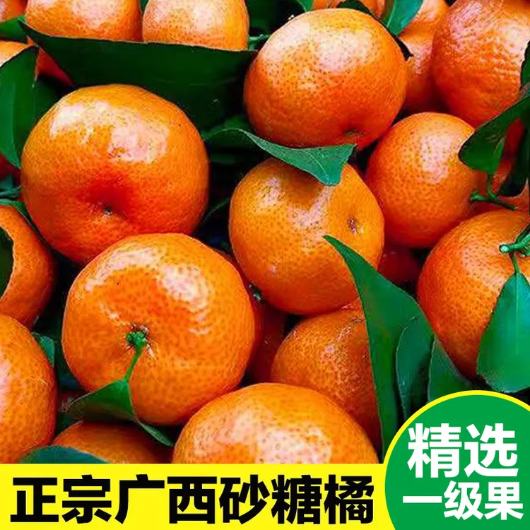 【欧欧姐专属】正宗广西砂糖橘精品过年沙糖蜜桔小桔子新鲜当季水果