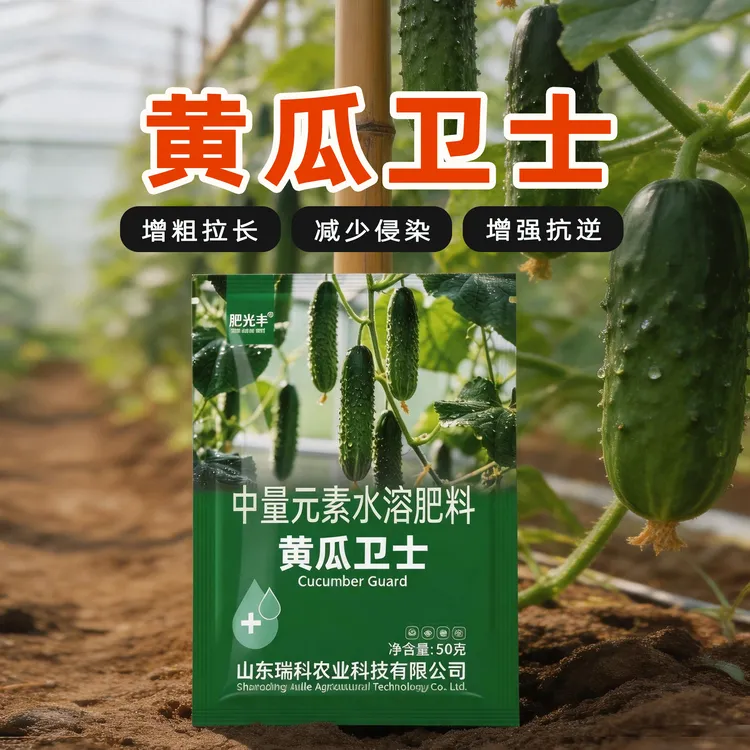 【黄瓜卫士】不怕侵染 根粗苗壮花多果多提质增产黄瓜通用肥商品图