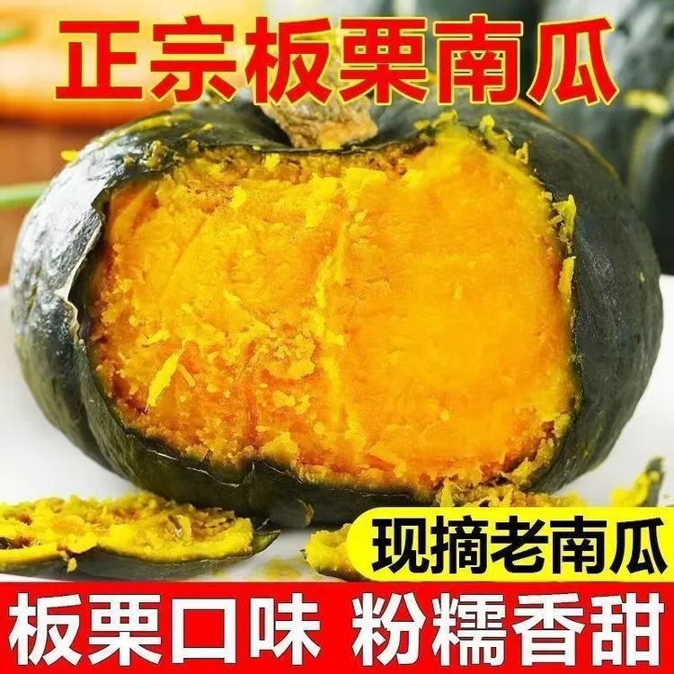 正宗贝贝小南瓜新鲜当季板栗味粉糯香甜适合孕妇
