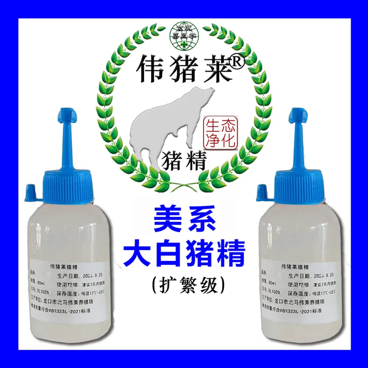 伟猪莱美系扩繁级大白猪精，采快发80ml/瓶每批非瘟检测，四瓶包邮