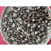 香菇干货菌菇新货农家净重肉厚冬菇蘑菇煲汤火锅