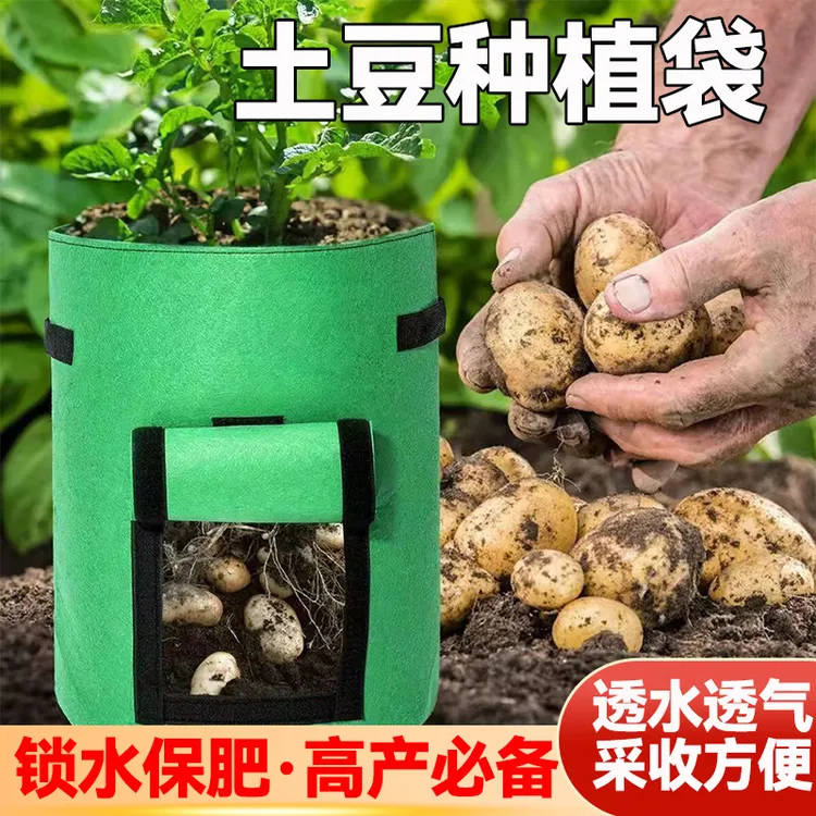 土豆番薯花生种植袋种植盆种植箱多功能阳台楼顶育苗神器