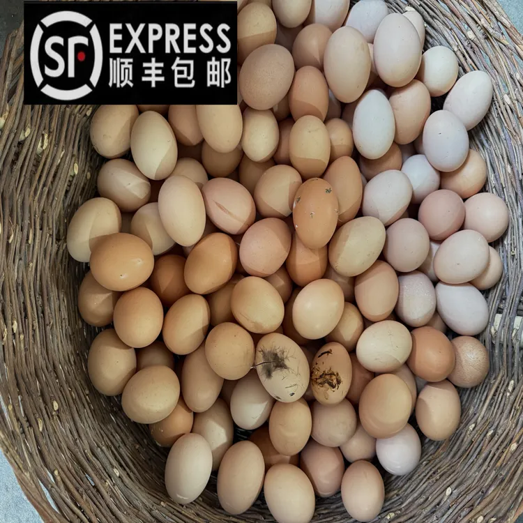 农户精选农村笨鸡蛋50枚，（只发当天蛋）收到后请从托内取出