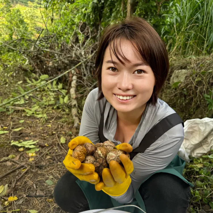 贵州黔西南深山老品种核桃生核桃鲜核桃人工去壳新鲜现摘