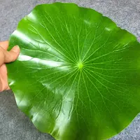 高档仿真荷叶烧烤生鲜果蔬绿色垫摆盘食材垫餐饮店店盘子客厅垫子
