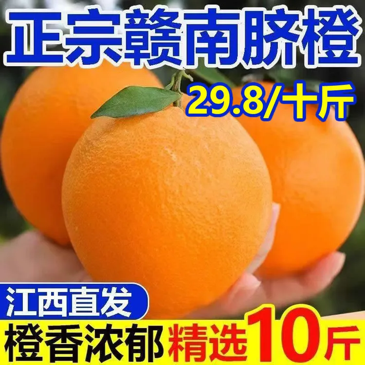 【10斤】正宗赣南脐橙 江西新鲜橙子 当季孕妇水果整箱手剥甜橙