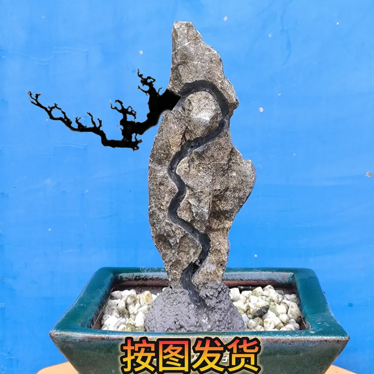 开槽小微附石盆景天然英德石一物一拍附石盆景专用石材精选掌中宝
