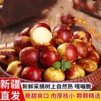 【新疆包邮】新疆冬枣新鲜水果大果东枣鲜枣冰糖脆枣大枣牛奶枣子
