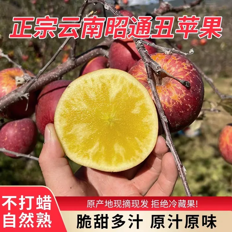 昭通糖心苹果现摘现发净重5斤试吃装微瑕果顺丰包邮