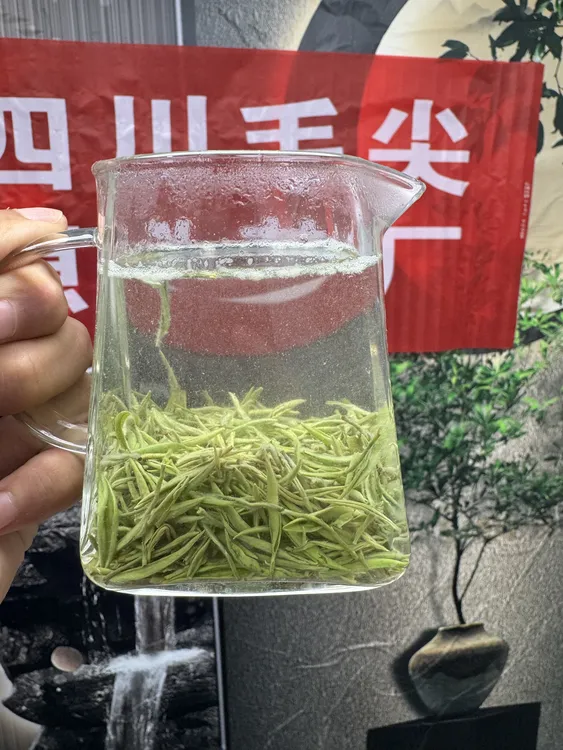 明前高山手工茶2025四川毛尖中芽春茶明前茶绿茶新茶高级茶叶