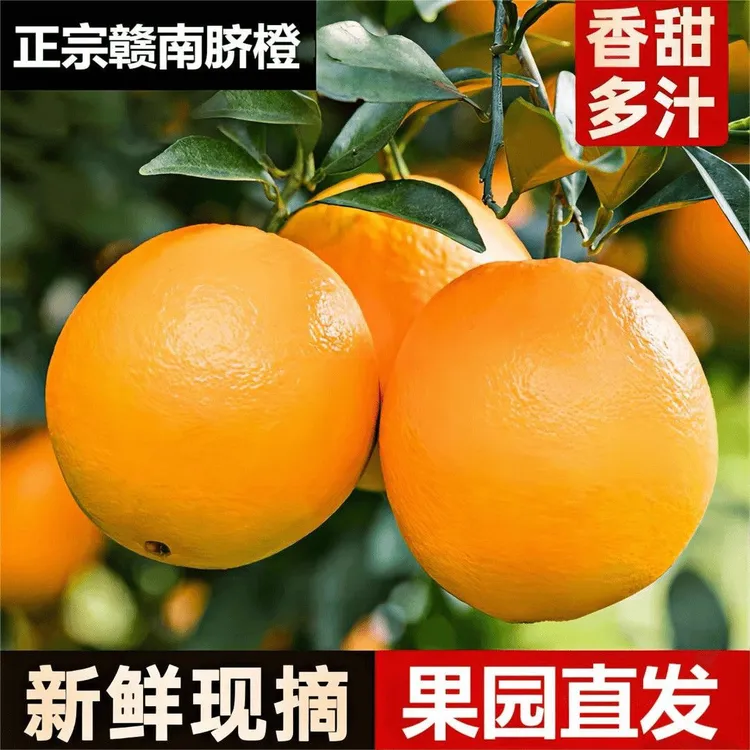 江西赣南脐橙当季脐橙正宗现摘新鲜原产地水果橙子整箱5斤10斤装