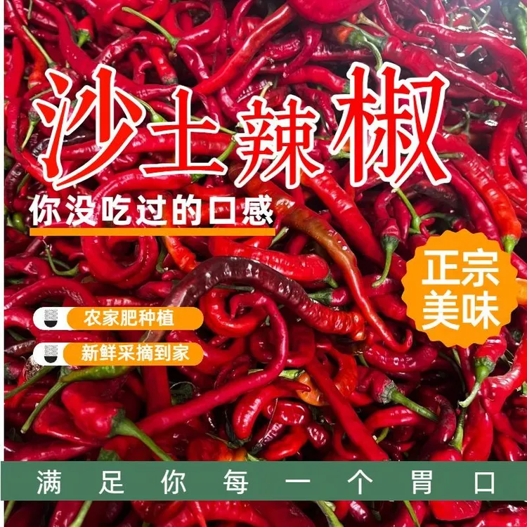 湖南农家高山土辣椒秋辣椒（适合做剁辣椒 泡辣椒 ）