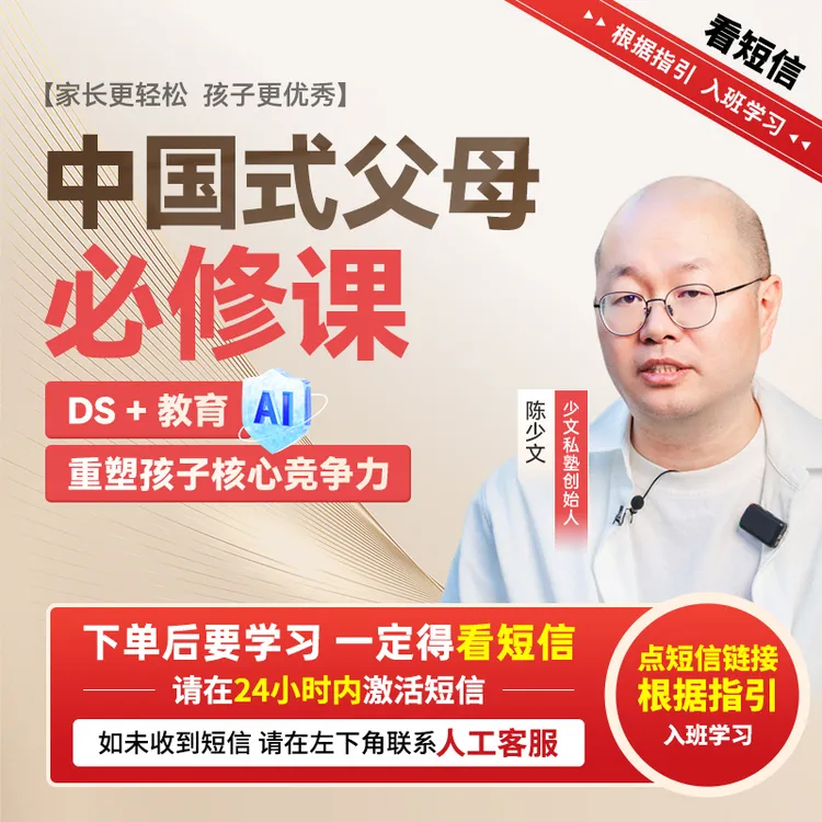 陈少文：AI时代 中国式父母必修课【官方正版】-C