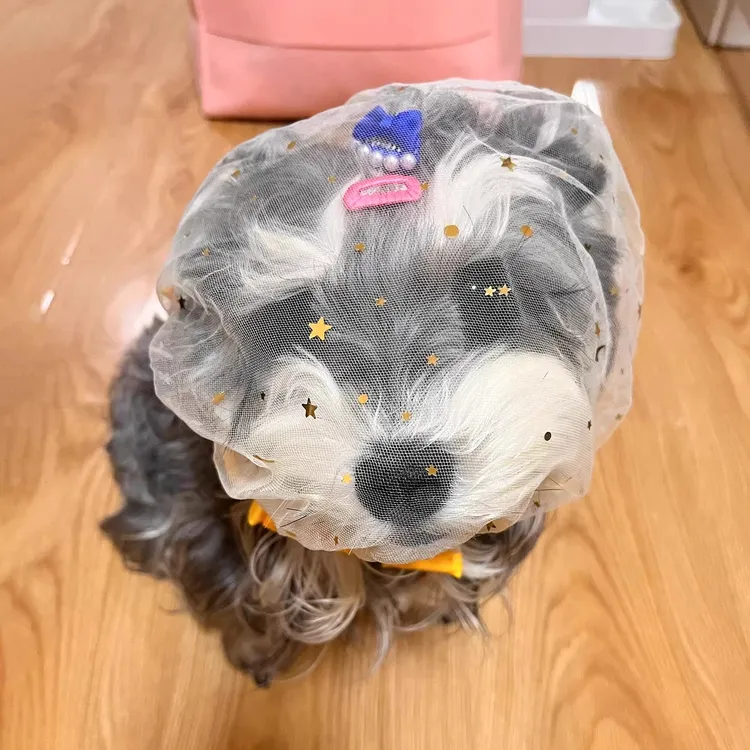 狗狗嘴套防误食头纱面罩遛狗防舔防乱吃头套中小型犬专用透气网套