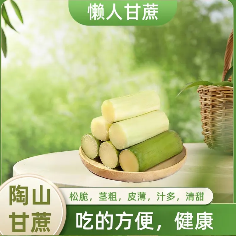 正宗陶山甘蔗果肉无节甘蔗独立包装陶山甜甘蔗应季水果青皮甘蔗