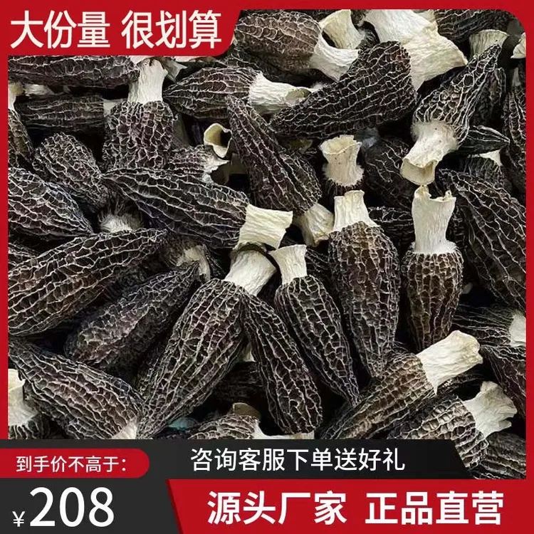 云南新货无硫干货羊肚菌农家干羊肚菌煲汤营养羊肚菇净重头茬牛排