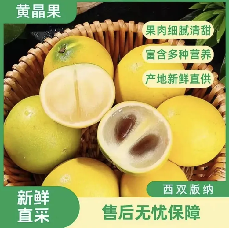西双版纳黄晶果牛奶果新鲜应季孕妇水果奶香味十足