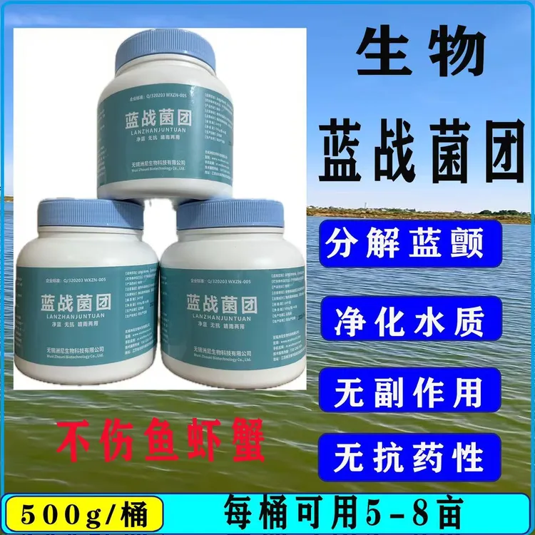 蓝战菌团 生物菌清除蓝藻净蓝无抗水产养殖鱼虾蟹