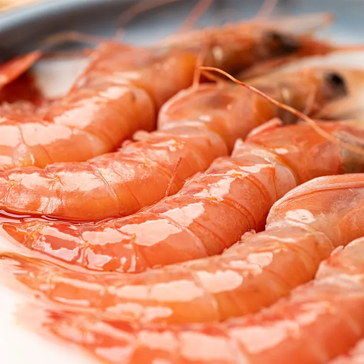 渠鲜码头松门大号红虾新鲜海捕肉质鲜美 【刺身级红虾】30-45头