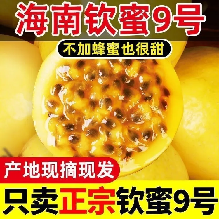 【新疆仓直发】纯甜黄金百香果  海南树上熟钦蜜九号  顺丰
