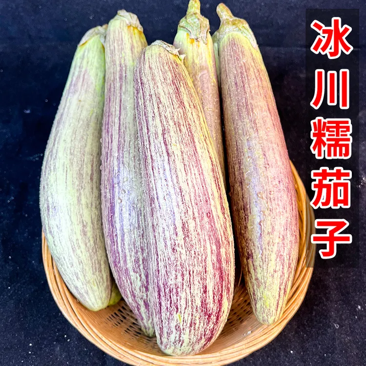 云南冰川茄子新鲜名菜正宗农家蔬菜冰川糯茄花茄蔬菜当季新鲜蔬菜