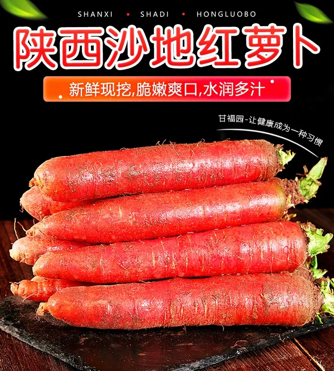 【宠粉补贴】陕西水果红萝卜5-9斤沙地新鲜蔬菜脆甜可口多汁清甜