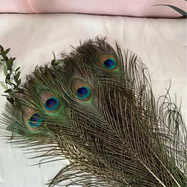 师傅推荐孔雀毛孔雀羽毛插瓶摆件