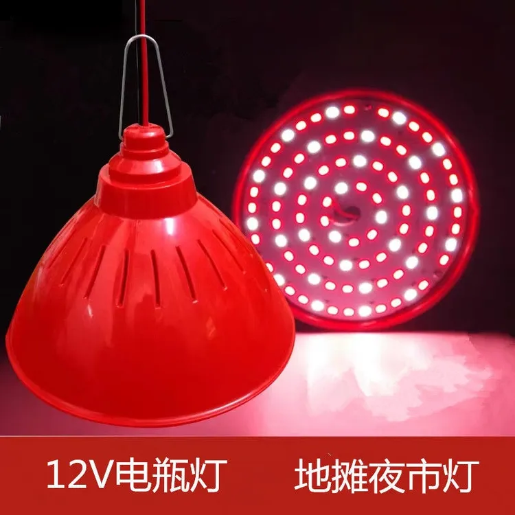 LED低压12V水果夜市电瓶灯通用地摊灯摆地摊夜市灯卤菜生鲜灯超市