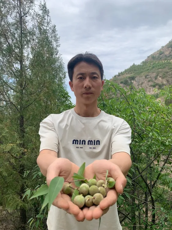 新货上市 山桃核儿拍打袋颈枕头坐垫大小混装山桃带青皮