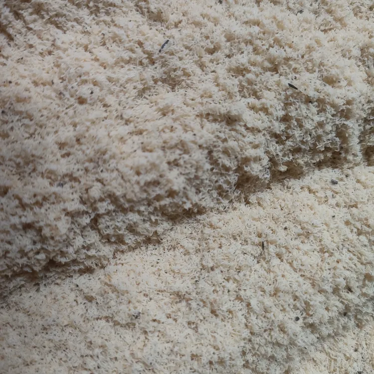 黑水虻蛋白虫虫卵500克顺丰包邮