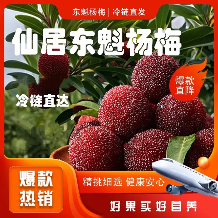 9A仙居东魁杨梅新鲜现摘当季水果大果颗粒饱满送礼盒