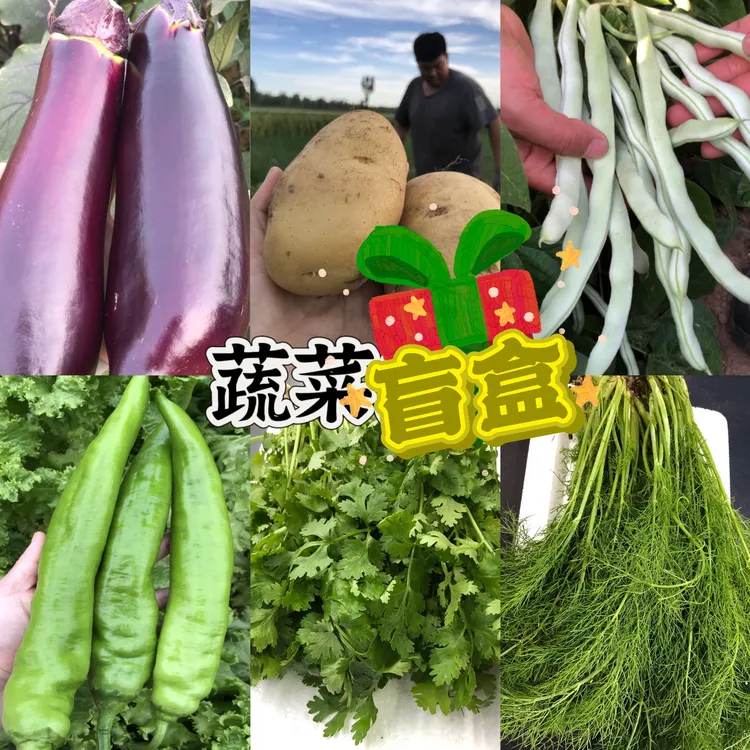【小马家三亩田】蔬菜包次卡套餐白芸豆土豆茄子旱黄瓜辣椒顺丰包邮
