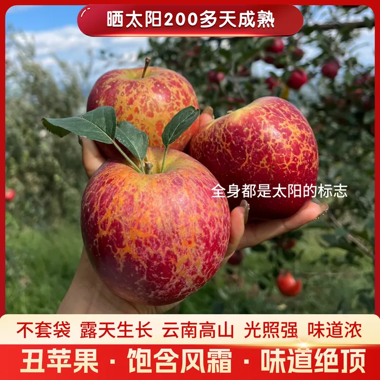 云南昭通冰糖心丑苹果产地直发脆甜多汁新鲜水果整箱5/10斤包邮
