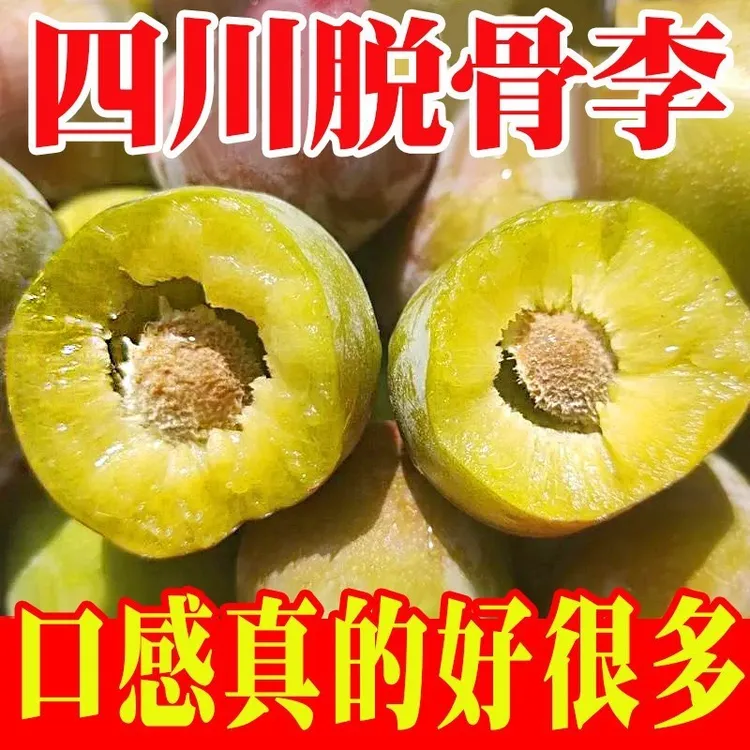 正宗四川脱骨李半边红茵红李应当季新鲜水果青红脆李整箱批发