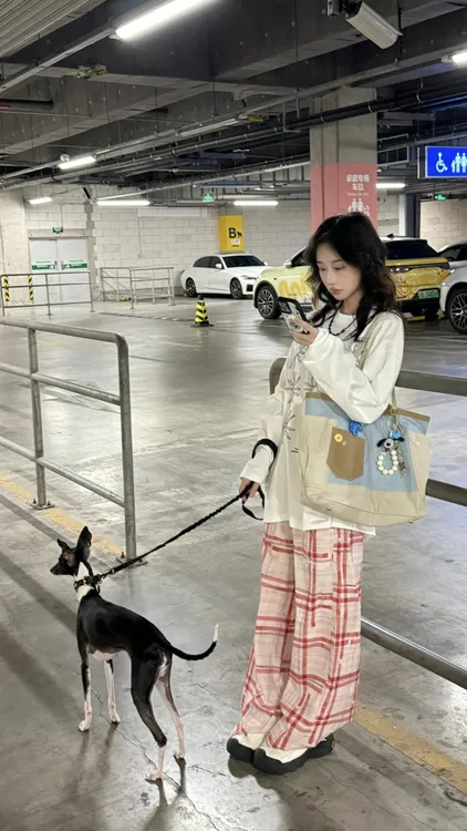 2025秋季新款韩系长袖t恤太阳花印花宽松显瘦上衣百搭格子休闲裤