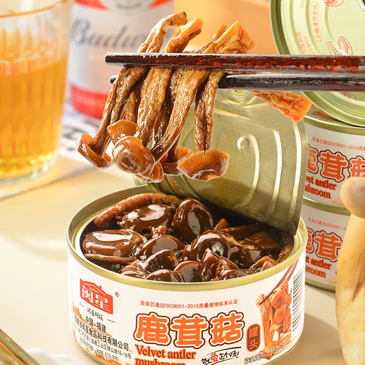 闽星鹿茸菇罐头100g开罐即食下饭下酒菜