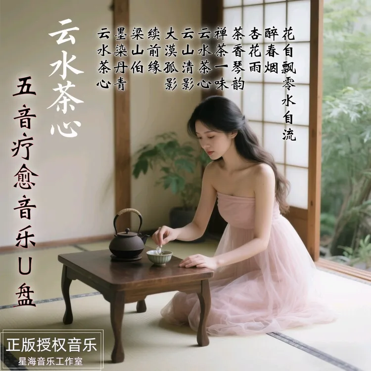 2025新款五行/五音疗愈失助眠解压缓解压力音乐 汽车载U盘无损MP3