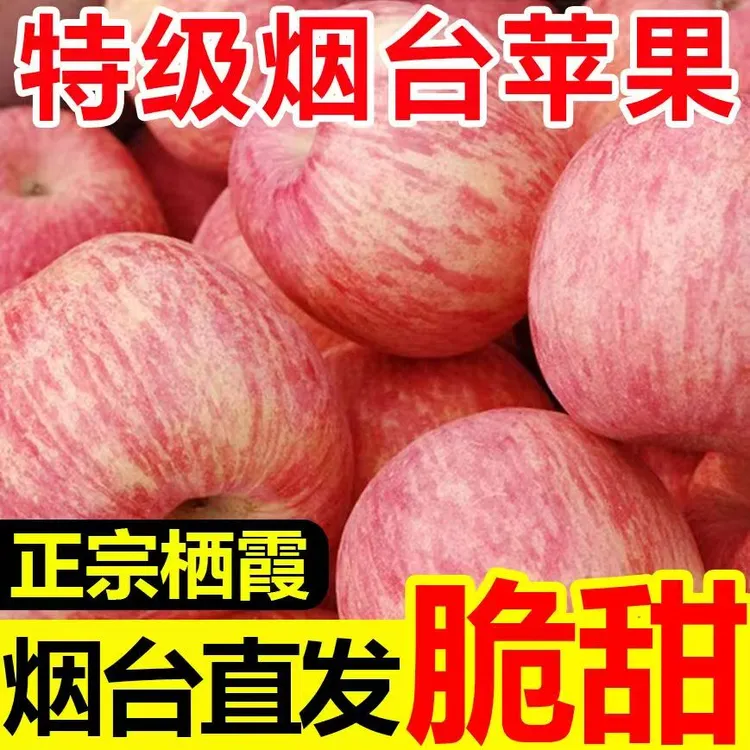 山东烟台红富士苹果新鲜脆甜多汁当季应季水果