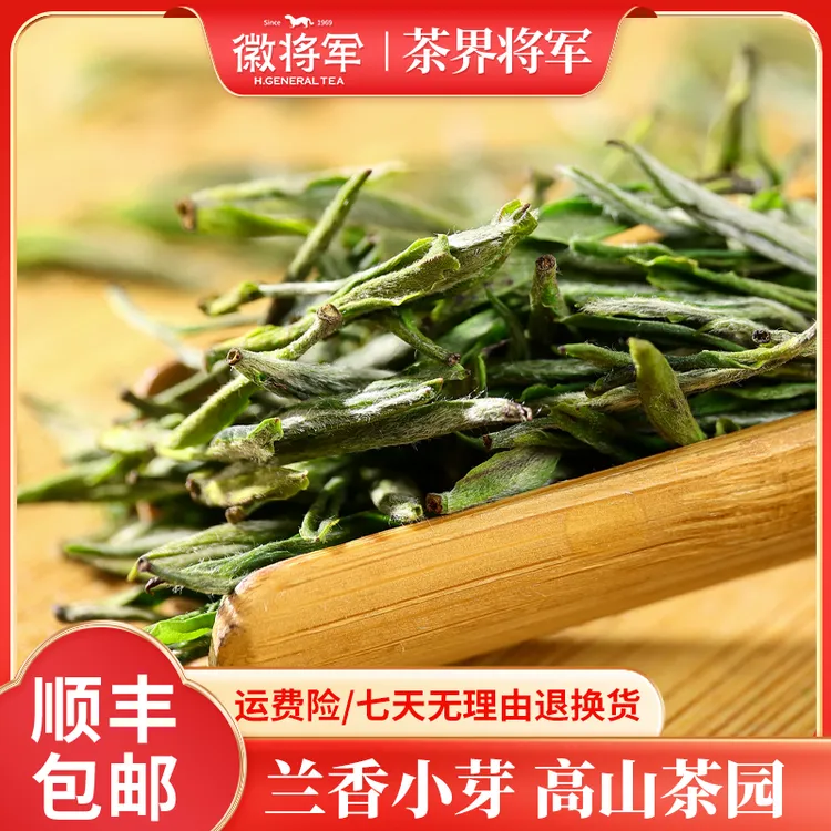 徽将军B48兰香小芽毛峰2025新茶明前嫩芽茶叶绿茶安徽高山茶春茶