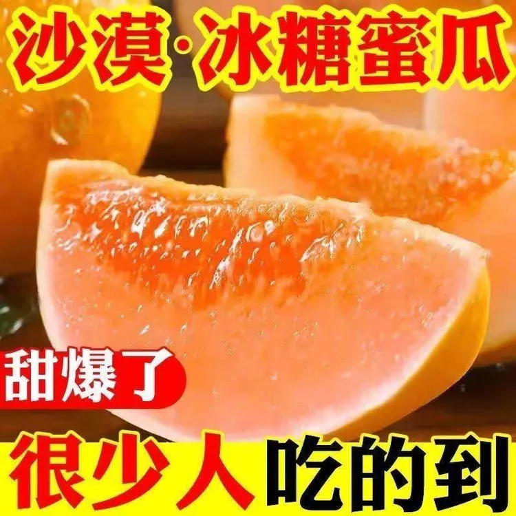 正宗甘肃民勤蜜瓜黄河蜜瓜沙漠黄皮红白肉脆甜哈密瓜香瓜当季水果