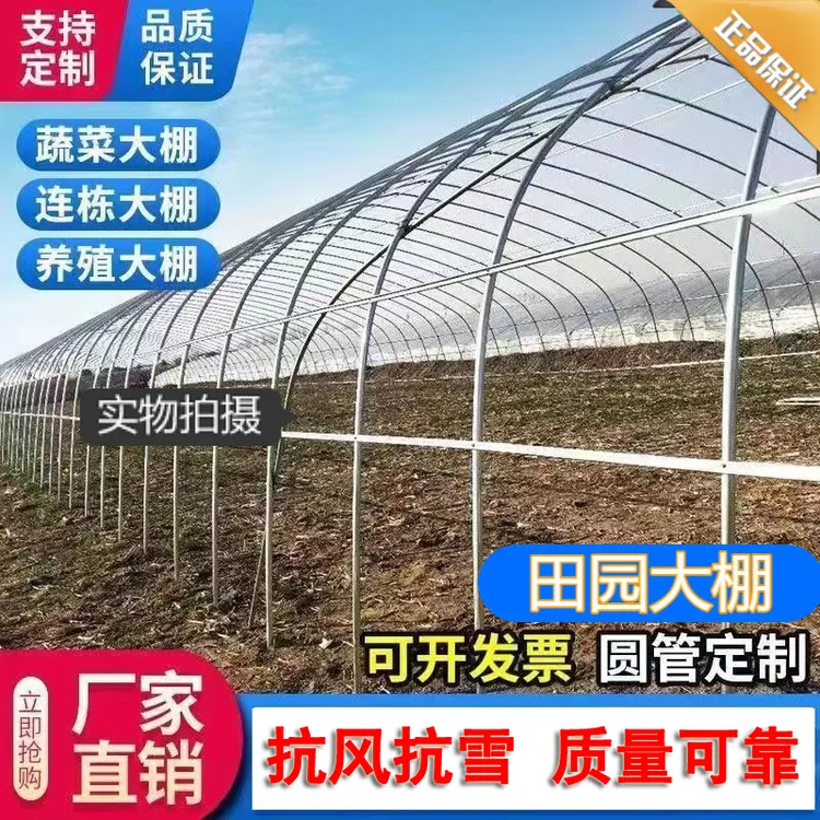 热镀锌大棚钢管骨架蔬菜种植大棚椭圆管养殖猪牛羊鸡鸭鹅全套定制