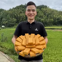 湖南特产正宗白溪烟熏豆腐散装柴火香干农家手工水井豆腐好吃美味