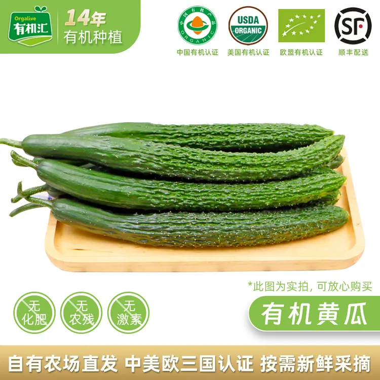 有机汇生吃有机黄瓜有机蔬菜刺黄瓜5斤装带刺黄瓜直发顺丰包邮